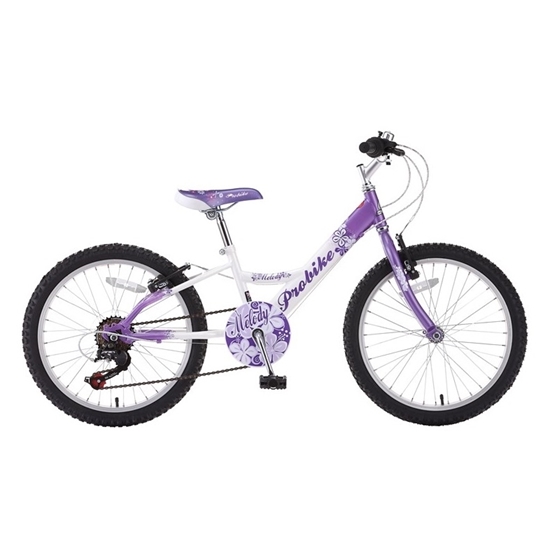 ΠΟΔΗΛΑΤΟ 20" PROBIKE MELODY