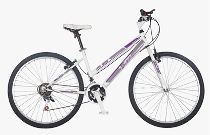 ΠΟΔΗΛΑΤΟ 24'' TEC LADY