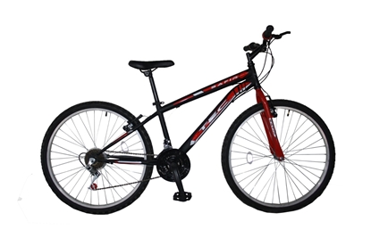 ΠΟΔΗΛΑΤΟ 24'' TEC SAFIR