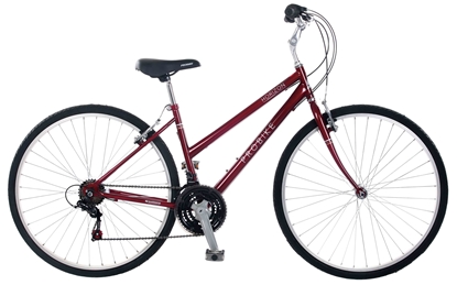 ΠΟΔΗΛΑΤΟ 700C PROBIKE HORIZON LADIES 