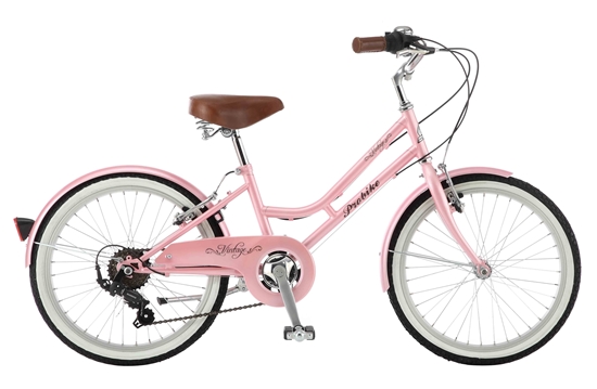 ΠΟΔΗΛΑΤΟ 20'' PROBIKE MINI VINTAGE
